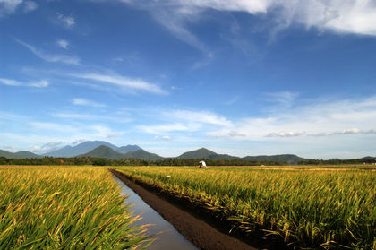 pakistan-agriculture